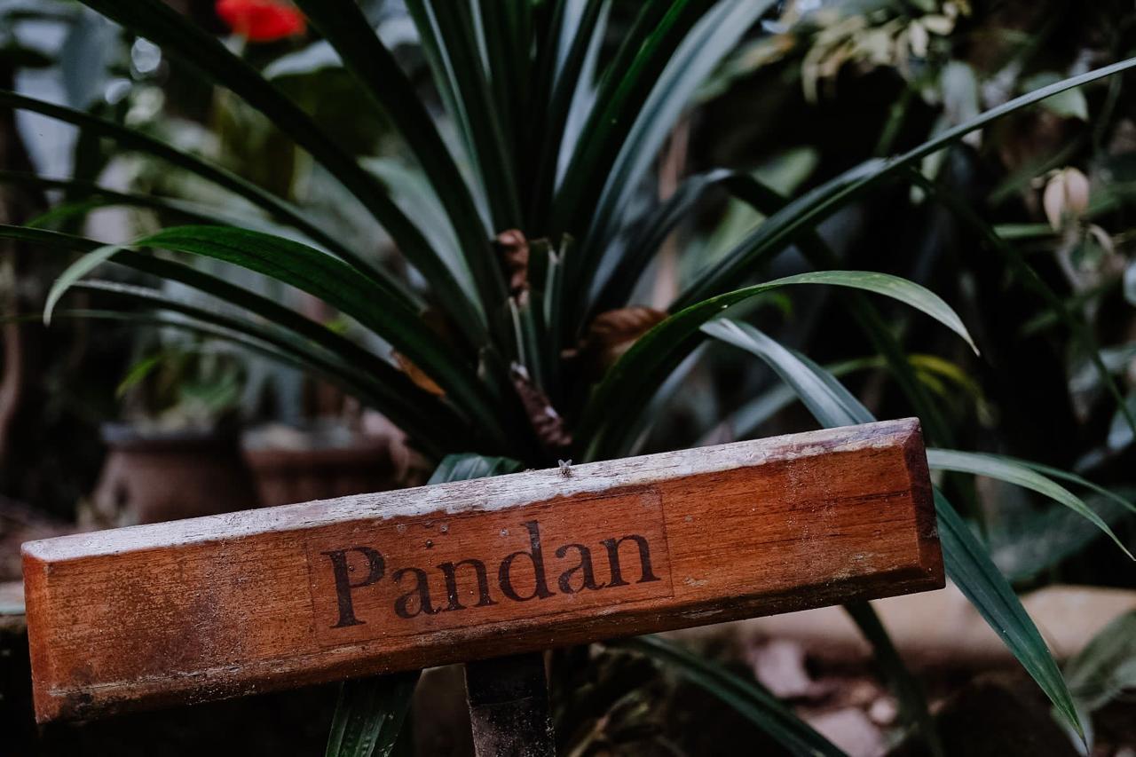 WhatsApp Image 2025-01-24 at 5.46.41 AM (8)